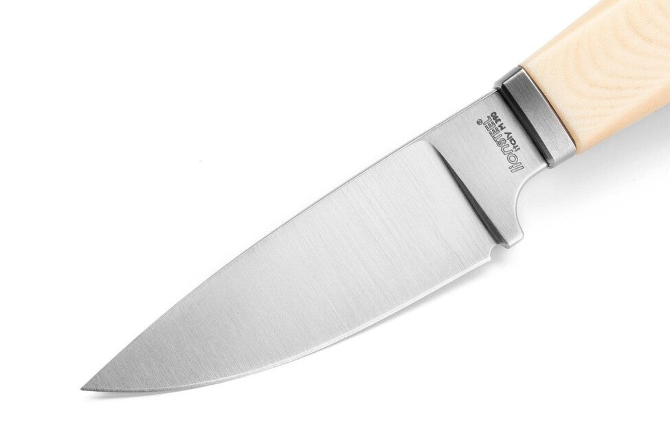 Lionsteel WILLY WL1 fix pengéjű kés micarta MW markolattal