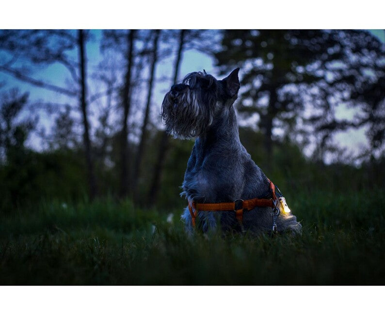 ArmyTek Zippy LED kulcstartó, rózsaszín