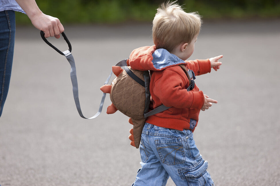 LittleLife póráz gyermekeknek