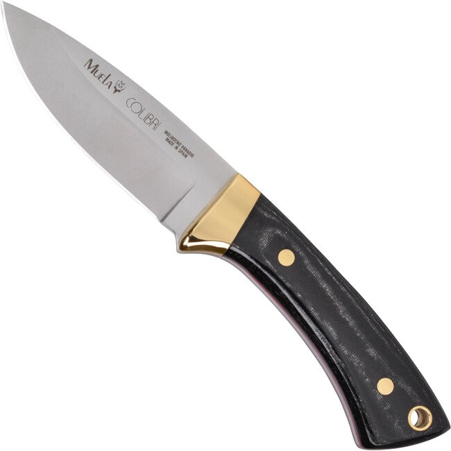 MUELA Colibri fix pengéjű kés Micarta