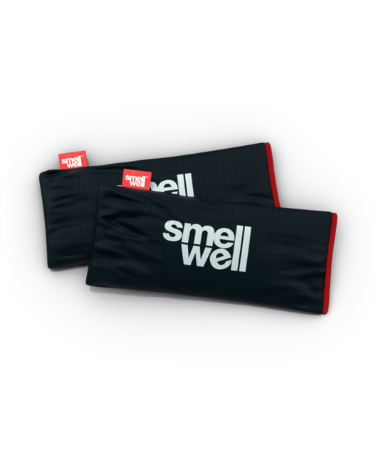 SmellWell Active XL univerzális szagtalanító, Black Stone