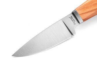 Lionsteel fix pengéjű kés olajfa markolattal WILLY WL1 UL